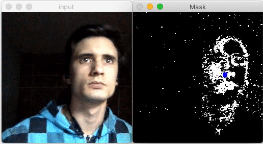 Face Detection Demo